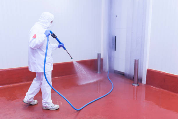 Best Window and Screen Pressure Cleaning in White Sulphur Springs, WV